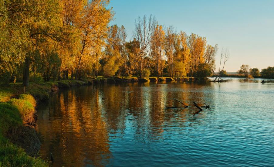 Яськи з panoramio.com - Яськи