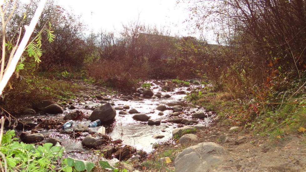 Бедевля з panoramio.com - Бедевля