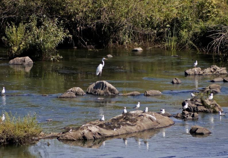 Іскрівка з panoramio.com - Искровка
