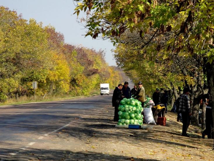 Мар'янське з panoramio.com - Maryanske