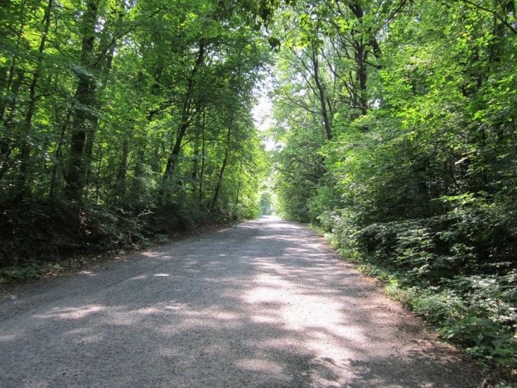 Гонтів Яр з panoramio.com - Гонтів Яр