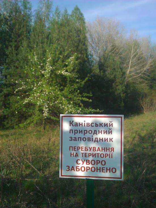 Ліпляве з panoramio.com - Лепляво