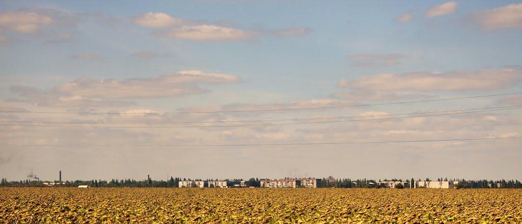 Маринівка з panoramio.com - Маринівка