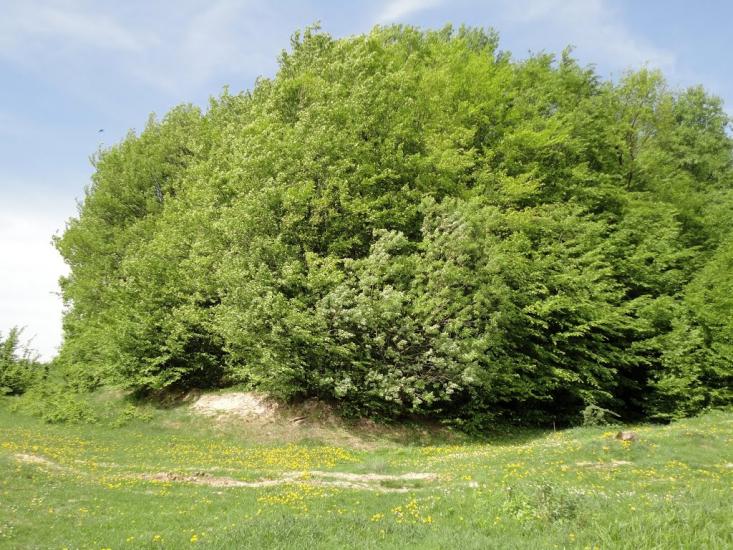 Яблунів з panoramio.com - Яблунів