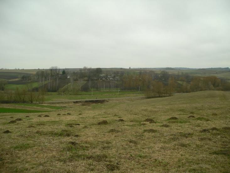 Пильки з panoramio.com - Пильки