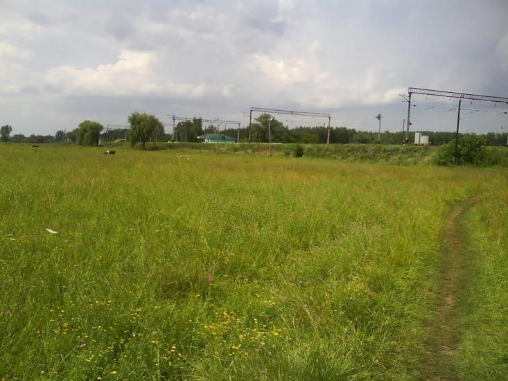 Дробишеве з panoramio.com - Дробышево