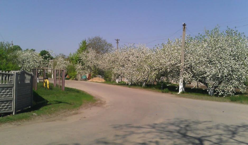 Радянське з panoramio.com - Радянское