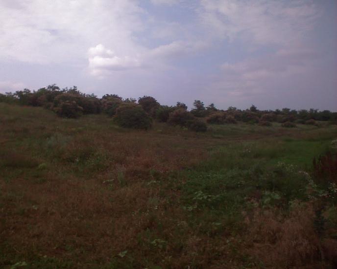 Бурханівка з panoramio.com - Бурханівка