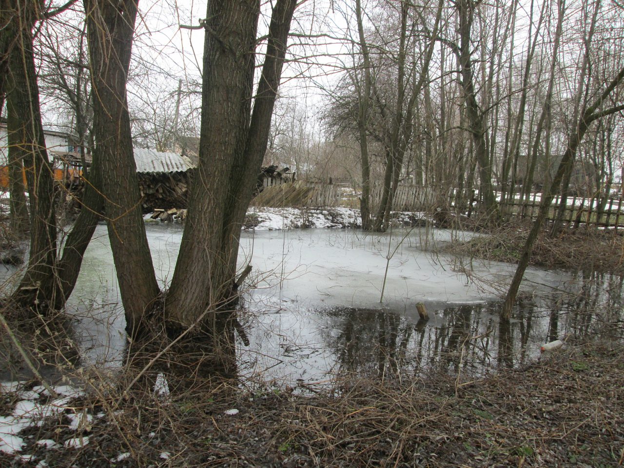 Мостове у лютому 2014 - Мостове