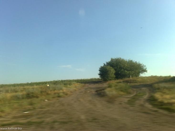 Широке з panoramio.com - Shyroke