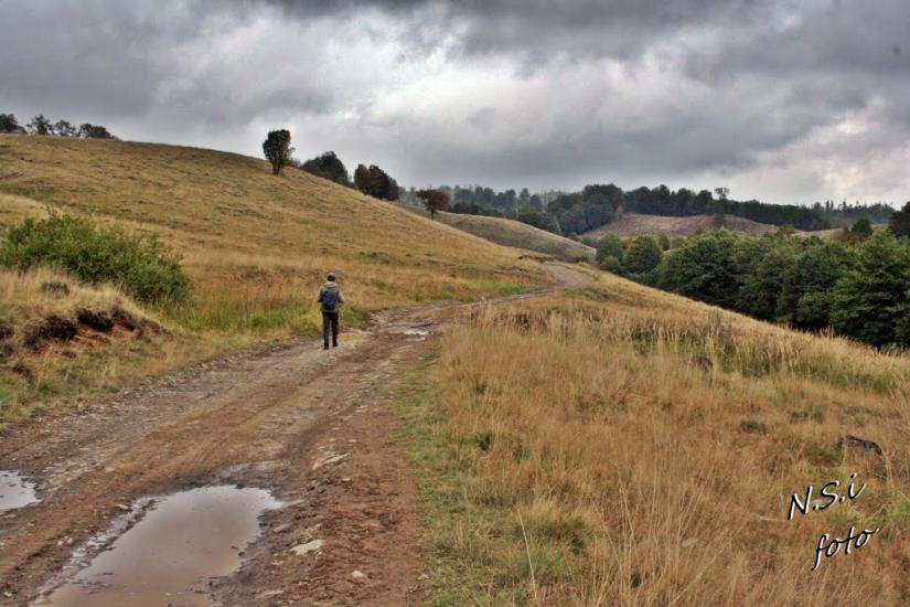 Бедевля з panoramio.com - Бедевля
