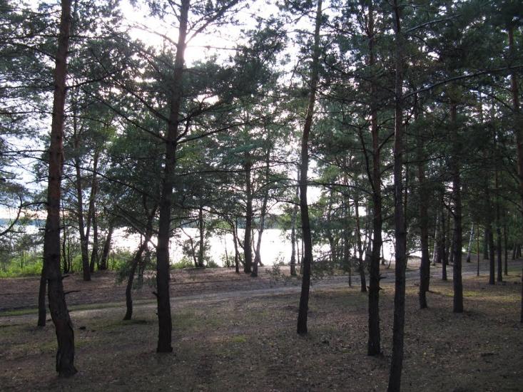 Мельники з panoramio.com - Мельники