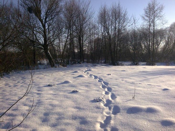 Бодаква з panoramio.com - Бодаква