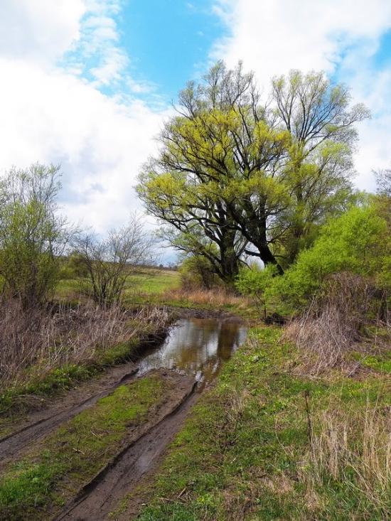 Ольховатка з panoramio.com - Olkhovatka
