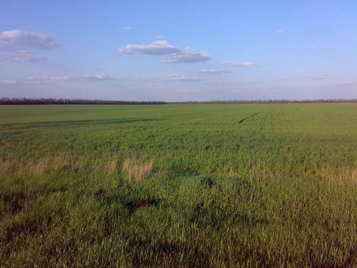 Новогродівка з panoramio.com - Новогродовка