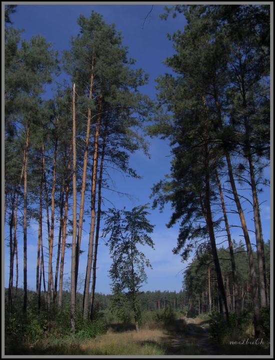 Коженики з panoramio.com - Коженики