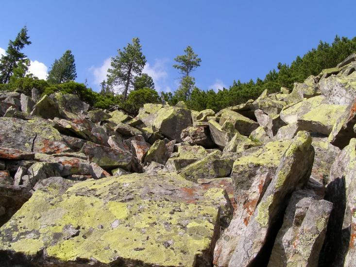 Кузьминець з panoramio.com - Кузьминец