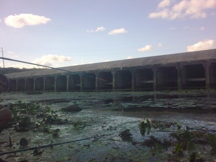 Тернівка з panoramio.com - Тернівка