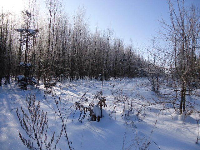 Карижин - Карижин