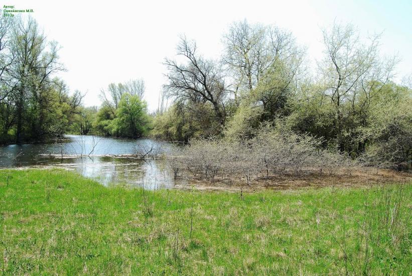 Плавні з panoramio.com - Плавни
