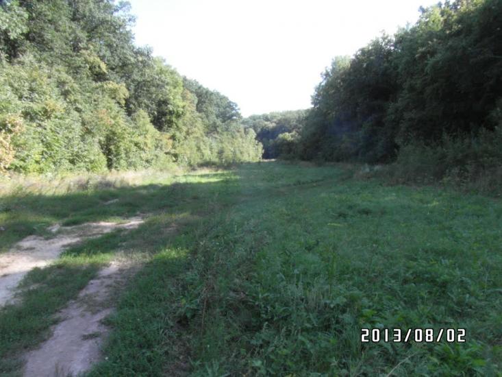 Лазуківка з panoramio.com - Лазуківка