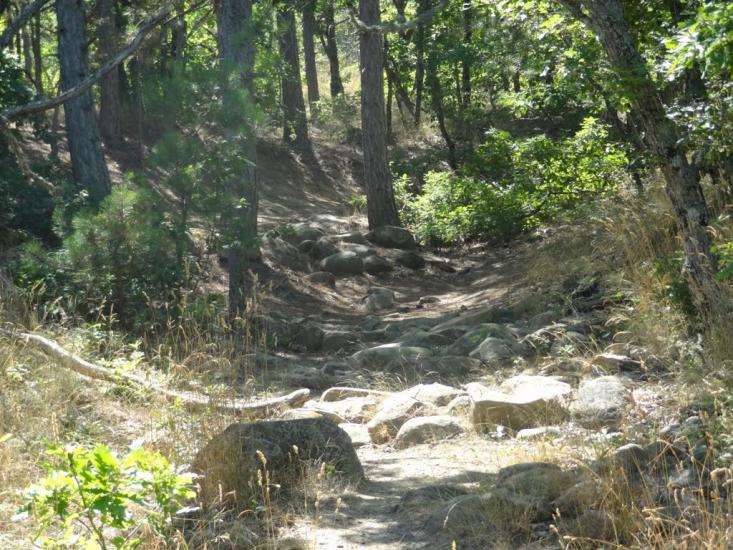 Виноградний з panoramio.com - Vynogradnyy