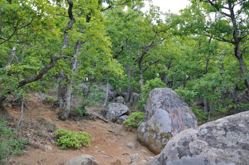 Запрудне з panoramio.com - Запрудне