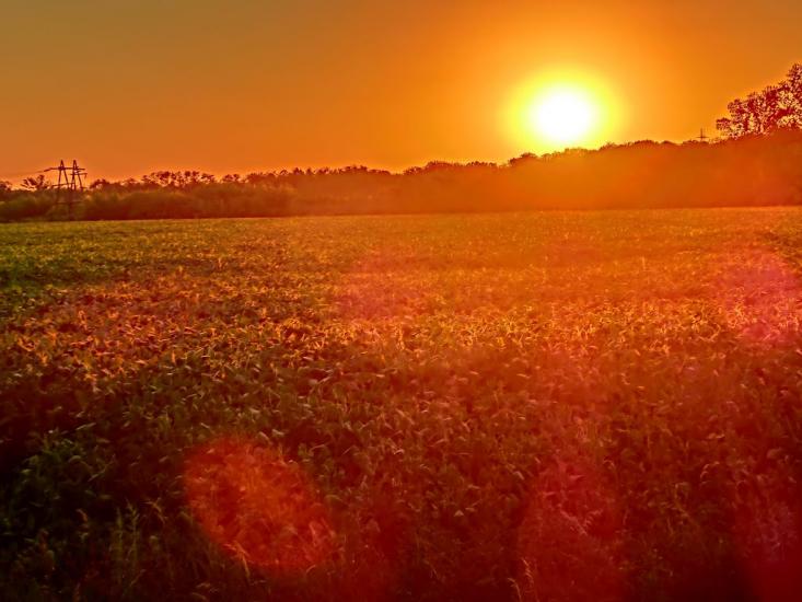 Лозуватка з panoramio.com - Лозуватка