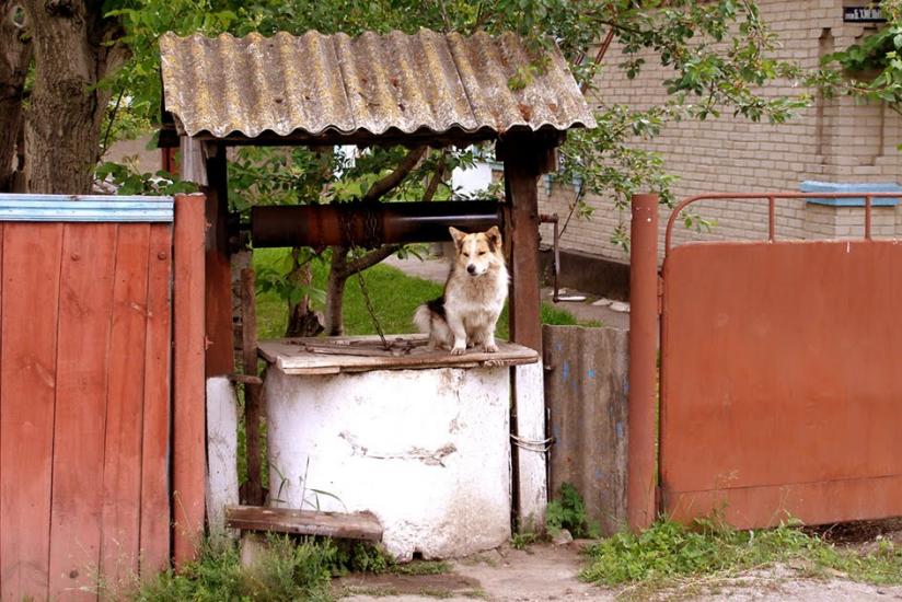 Андрушівка з panoramio.com - Андрушевка