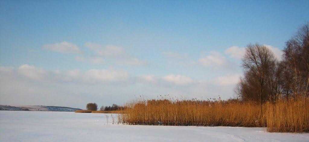 Липці з panoramio.com - Липцы