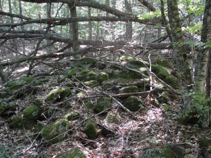 Виноградний з panoramio.com - Виноградний