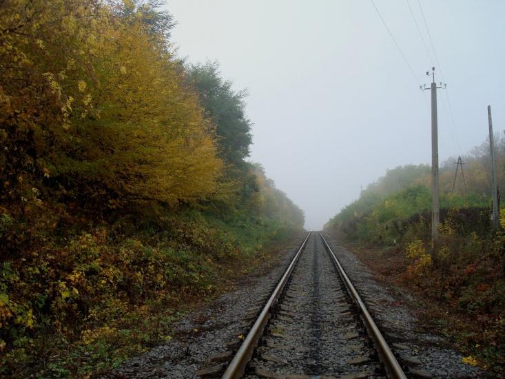 Закупне з panoramio.com - Закупное