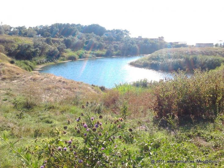 Берегове з panoramio.com - Берегово