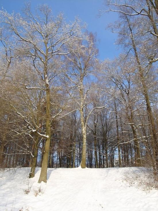 Костопіль з panoramio.com - Костополь