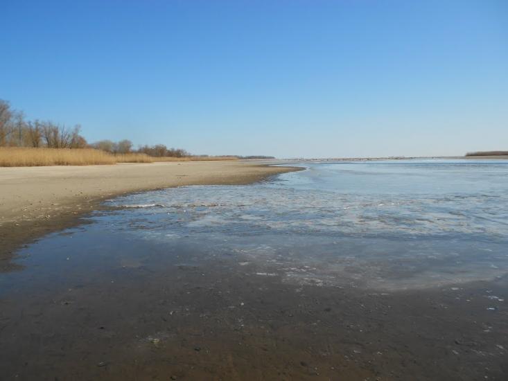 Чапаєвка з panoramio.com - Чапаевка