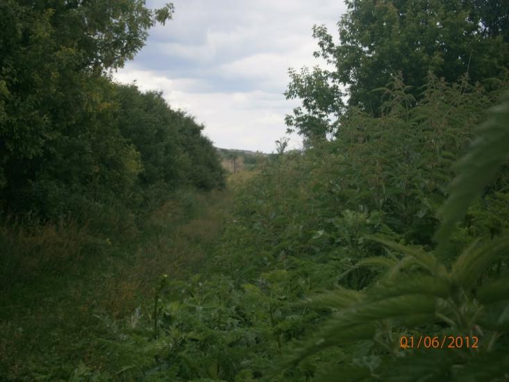 Колядівка з panoramio.com - Колядовка