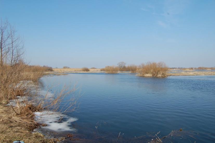 Куликовичі з panoramio.com - Kulykovychi