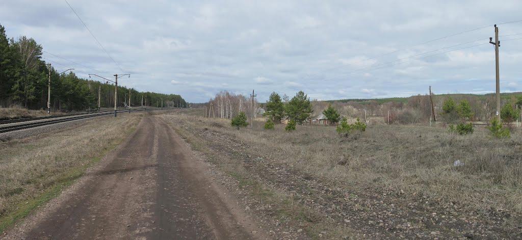 Бірки з panoramio.com - Бирки