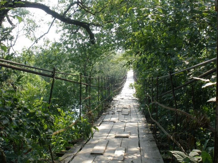 Вільха з panoramio.com - Вільха