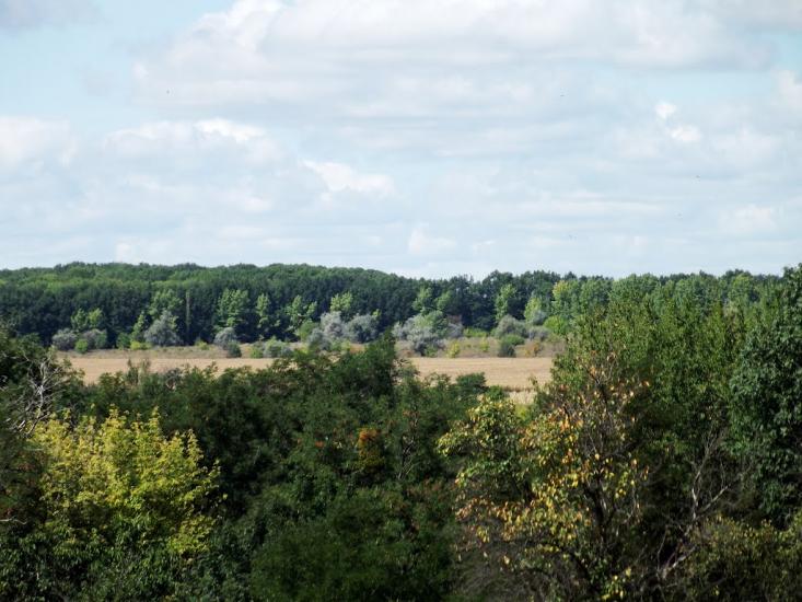 Романівка з panoramio.com - Романівка