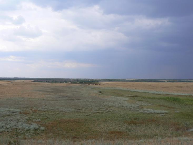 Орлинське з panoramio.com - Орлинське