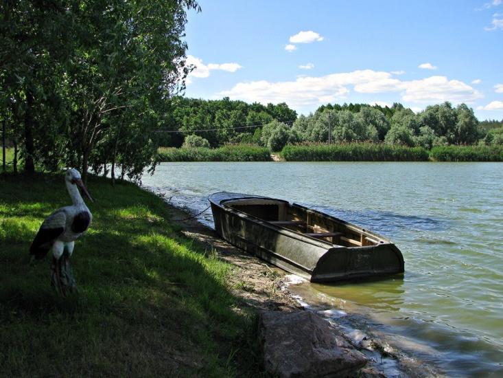 Лісові Сорочинці з panoramio.com - Лесовые Сорочинцы