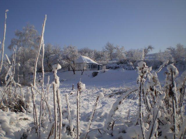 Сунки з panoramio.com - Сунки