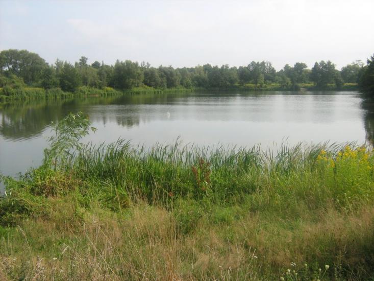 Кошари з panoramio.com - Кошари