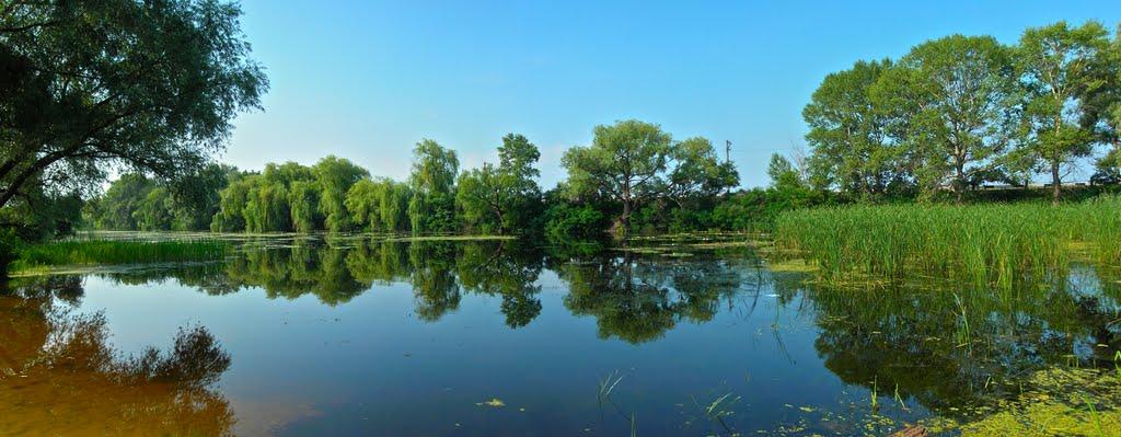 Чапаєвка з panoramio.com - Чапаевка