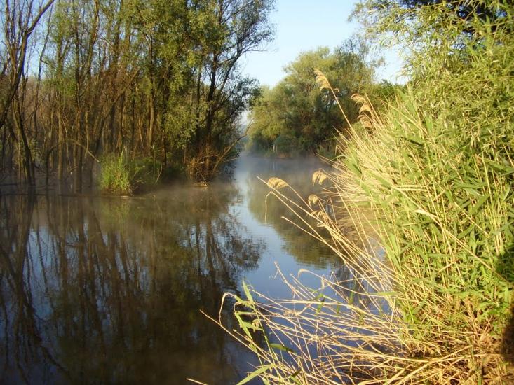 Нижня Хортиця з panoramio.com - Nyzhnya Khortytsya