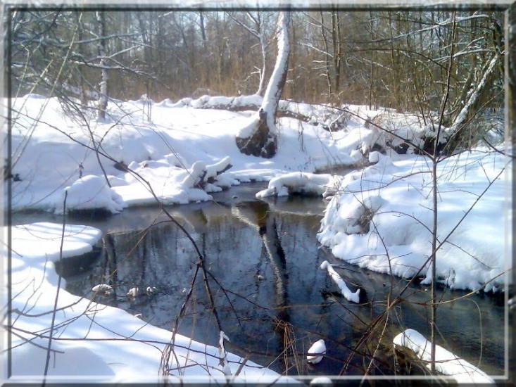 Кушкине з panoramio.com - Кушкино