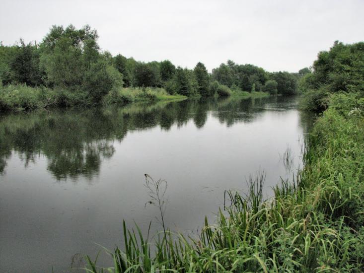 Кринцілів з panoramio.com - Кринцілів