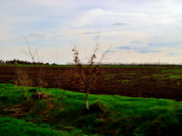 Смільчинці з panoramio.com - Смельчинцы