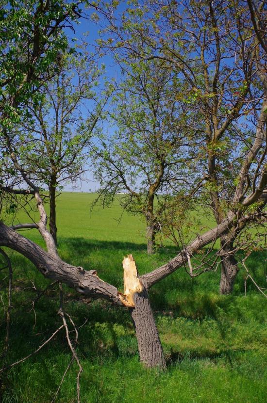 Укромне з panoramio.com - Укромне